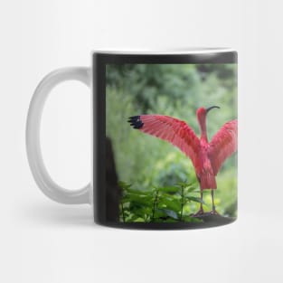 Scarlet Ibis Mug